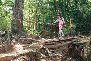 BIB: 
                            <button type="button" onclick="openModal(27726188)" class="btn btn-primary btn-sm float-right btn-popup" data-toggle="modal" data-target=".modal-high-quality">
                        <i class="fas fa-shopping-cart"></i> Add to Cart
                    </button>
                                            <button type="button" onclick="isThisMe(27726188, true)" class="btn btn-success btn-sm float-right btn-popup btn-isme hidden" data-toggle="tooltip" data-placement="bottom" title="นี่คือรูปของคุณใช่ไหม คลิกที่นี่เพื่อเอาเข้าอัลบั้ม">
                        <i class="fas fa-plus"></i> Add to album
                    </button>
                    <button type="button" onclick="isThisMe(27726188, false)" class="btn btn-warning btn-sm float-right btn-popup btn-isnotme hidden">
                        <i class="fas fa-ban"></i> Remove from album
                    </button>